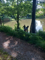 Klicken Sie auf das Bild, um es zu vergr&ouml;&szlig;ern