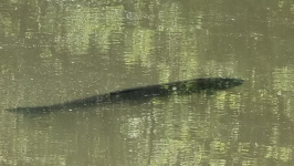 Klicken Sie auf das Bild, um es zu vergr&ouml;&szlig;ern