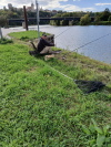 Klicken Sie auf das Bild, um es zu vergrößern