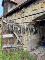 Klicken Sie auf das Bild, um es zu vergr&ouml;&szlig;ern