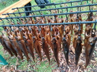 Klicken Sie auf das Bild, um es zu vergr&ouml;&szlig;ern