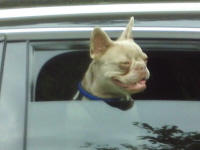 Klicken Sie auf das Bild, um es zu vergr&ouml;&szlig;ern